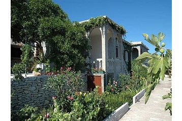Apartments Oreb - Prigradica - Korula, Fizetvendglt-hely, Szlls 11864