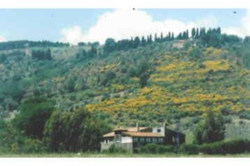 Hotel 12044 Gavorrano Hotel 12044 Gavorrano