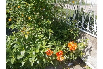 Slovakia Penzión Búč, Eksteriør