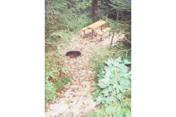 Slovakia Chata Martin, Eksteriør