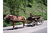 Pension Ždiar Slovakia