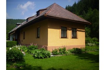 Ferienhaus Mlynky 1