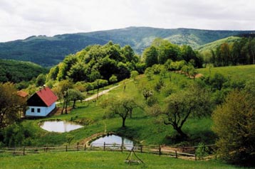 Česko Byt Vyškovec, Exteriér