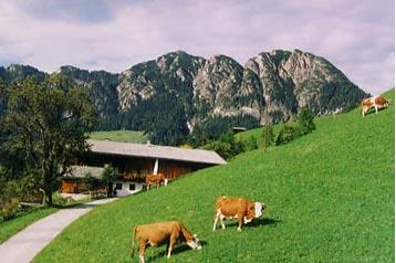 Rakousko Privát Alpbach, Exteriér