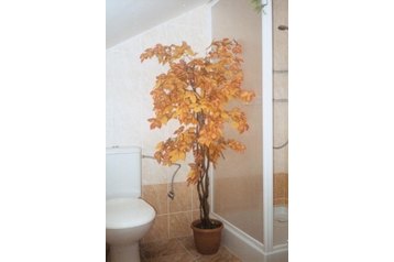 Słowacja Chata Krompachy, Zewnątrz