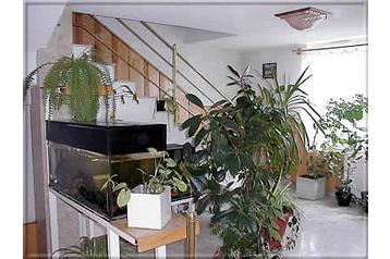 Ungarn Penzión Szolnok, Eksteriør