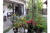 Chalet Túrkeve Ungheria