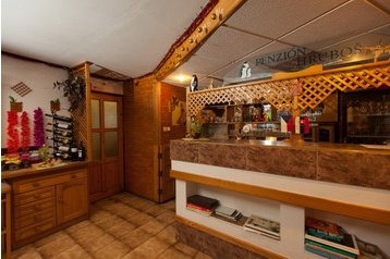 Slovakia Penzión Habovka, Eksteriør