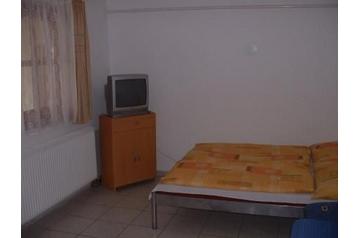 Ungari Privát Abádszalók, Eksterjöör