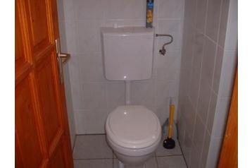 Ungari Privát Abádszalók, Eksterjöör