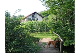 Apartamentai Jásd Vengrija