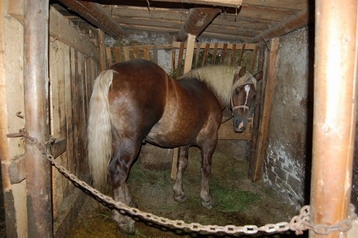 Slovakkia Chata Rabčice, Eksterjöör