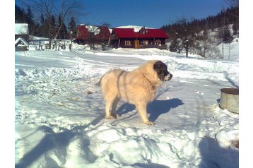 Slovakkia Chata Rabčice, Eksterjöör