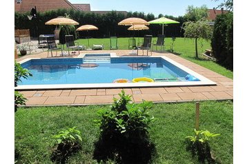 Ungarn Privát Bük, Eksteriør