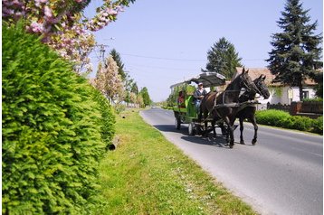 Madjarska Hotel Zalakaros, Eksterijer