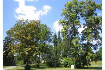 Чехия Hotel Плзень / Plzeň, Экстерьер