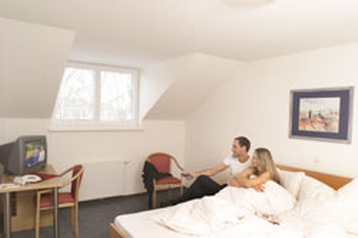 Австрия Hotel Wels, Екстериор