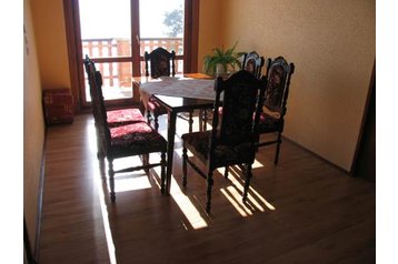 Poola Privát Wadowice, Eksterjöör