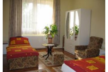 Ungari Privát Sárospatak, Eksterjöör