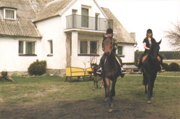 Польща Hotel Wiskitno, Екстер'єр