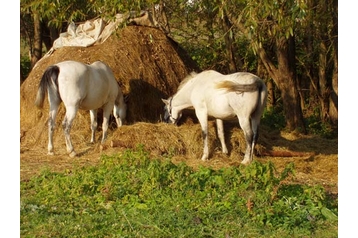 Slovaquie Chata Podskalie, Extérieur