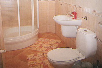 Poljska Byt Wisła, Eksterijer