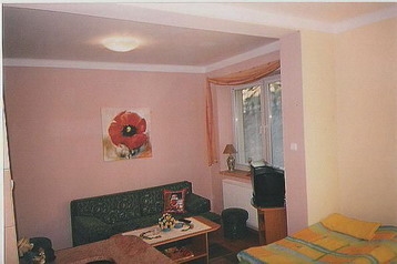 Poljska Byt Wisła, Eksterijer