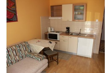 Horvaatia Privát Barbat, Eksterjöör