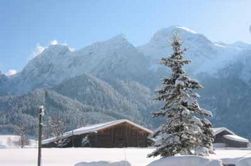 Ausztria Privát Abtenau, Exteriőr