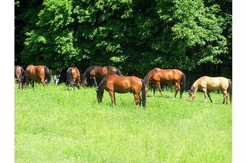 Vakantiehuis Kębło 9