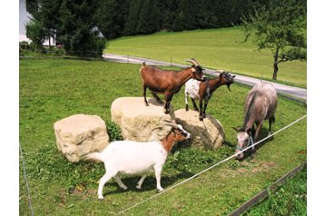 Ausztria Privát Abtenau, Exteriőr