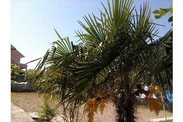 Horvátország Privát Murter, Exteriőr