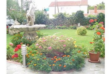 Horvaatia Privát Privlaka, Eksterjöör