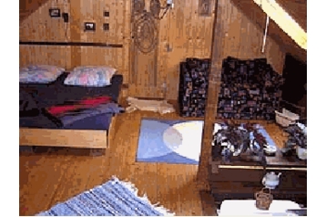 Ferienhaus Borotín 3