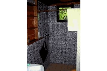 Ferienhaus Borotín 3