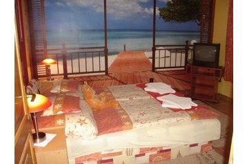 Ungarn Privát Bük, Eksteriør