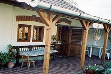 Ungari Privát Bodony, Eksterjöör