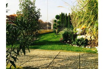 Ungarn Privát Bük, Eksteriør