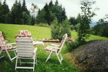 Austria Chata Traunstein, Exteriorul