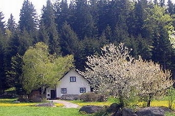 Austria Chata Traunstein, Exteriorul