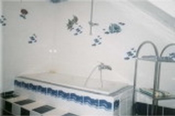 Østerrike Privát Schönbach, Eksteriør