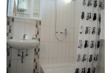 Horvātija Byt Duće, Eksterjers