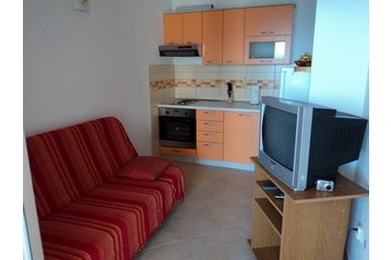 Horvātija Byt Duće, Eksterjers