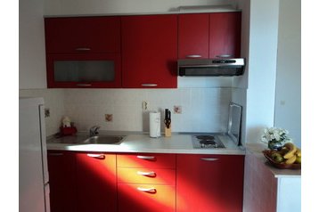 Horvātija Byt Duće, Eksterjers