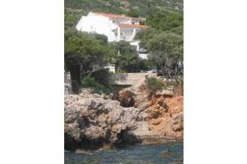 Kroatia Privát Dingač, Eksteriør