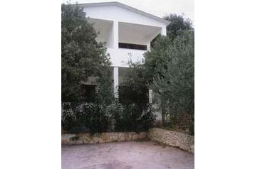 Kroatia Privát Dingač, Eksteriør