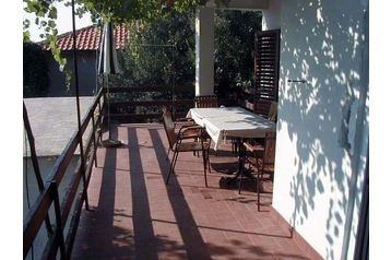 Kroatia Privát Dingač, Eksteriør