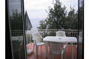 Kroatia Privát Dingač, Eksteriør