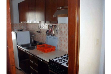 Kroatia Privát Dingač, Eksteriør