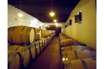 Italija Hotel Torreano, Eksterjeras